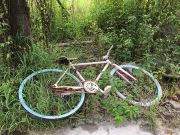 被遗弃的自行车