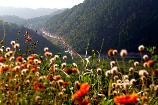 山路 盘山路