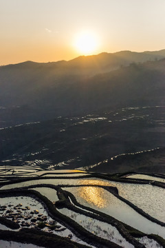 元阳梯田日出