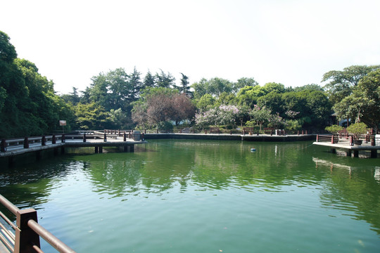 池塘 公园一角
