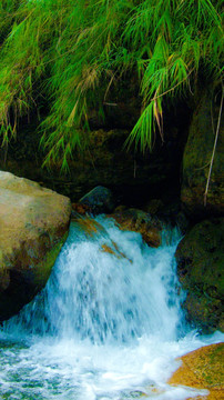 山泉 山野 溪水