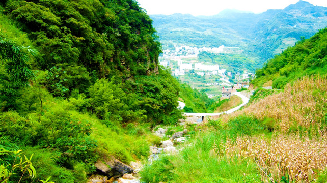 山地 玉米地 公路 山野