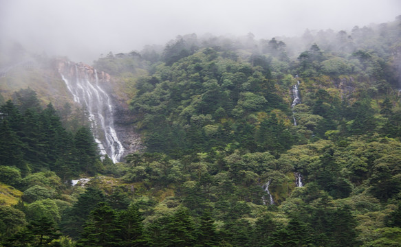 大雾中的轿子山