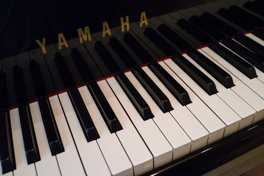 钢琴键盘 黑白键盘 钢琴