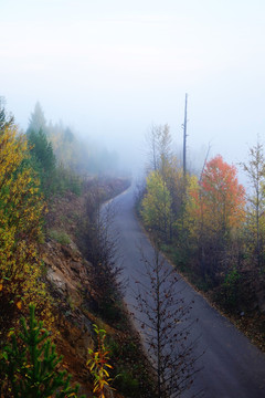 晨雾中的山路