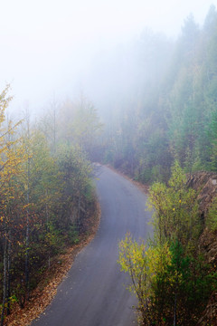 晨雾中的山路