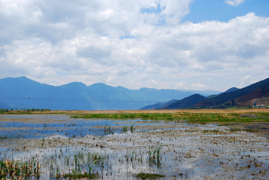 泸沽湖 草海