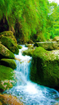 山泉  溪水 绿苔