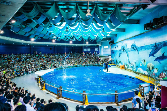 南京海底世界海豚表演馆
