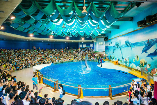 南京海底世界 海豚表演馆