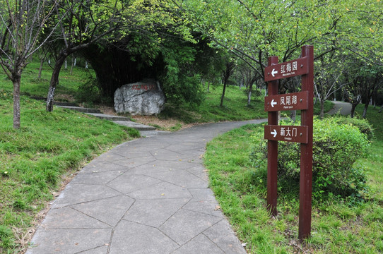 林间小路