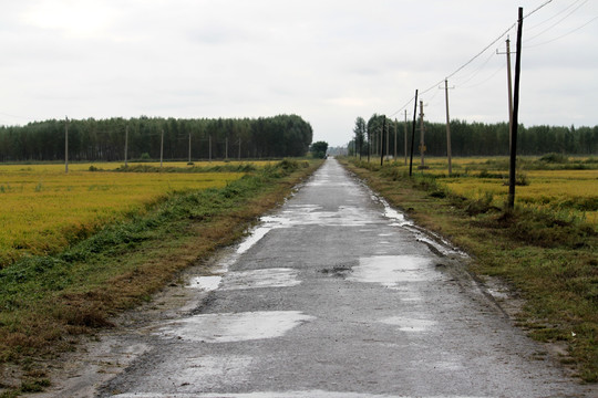 田间路