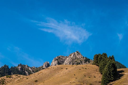 新疆天山牧场