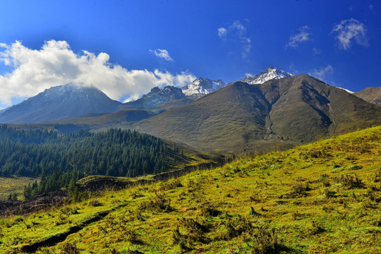 牛心山