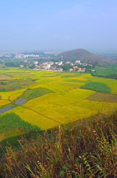 秋天田野