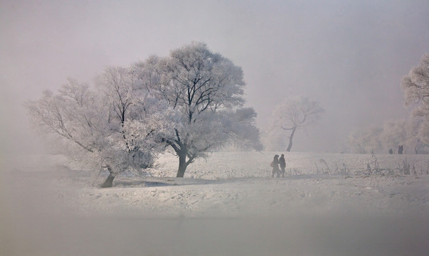 雾凇 雪景