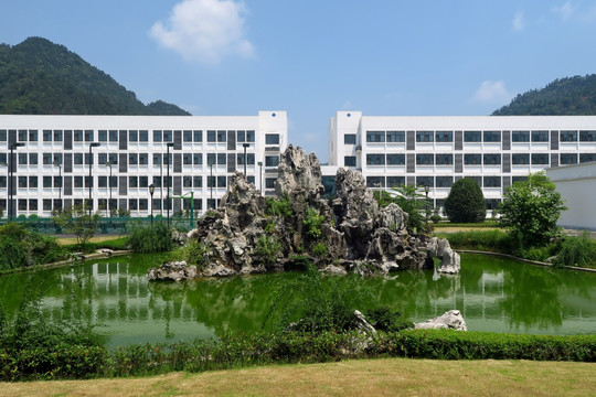 办公楼 厂区 太湖石