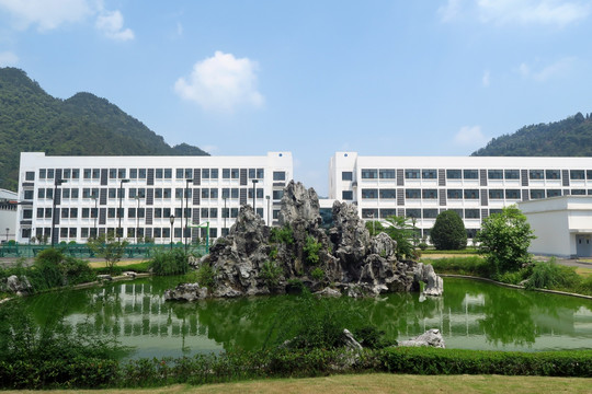 厂区 太湖石