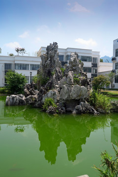 办公楼 厂区 太湖石