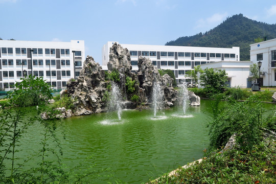 办公楼 厂区 太湖石