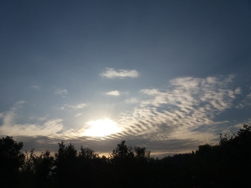 晨曦