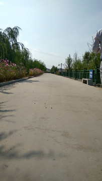公园小道