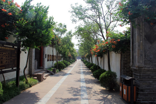 景区道路