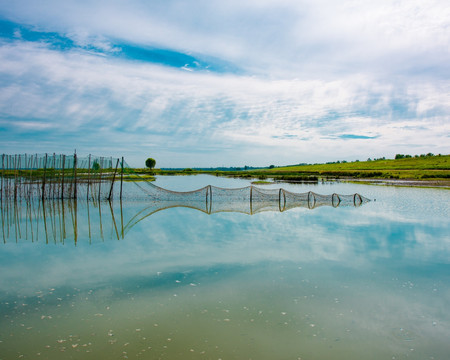 湿地