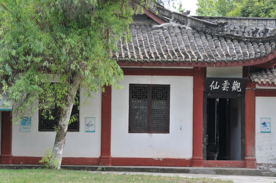 观云仙