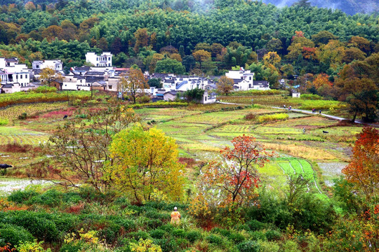 塔川秋日风光