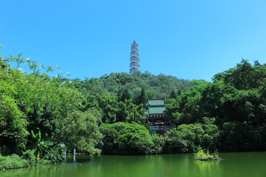 公园风情
