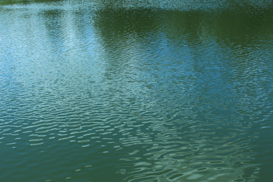 水面