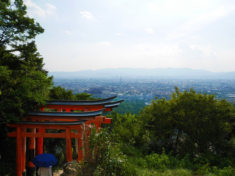 日本京都稻荷山