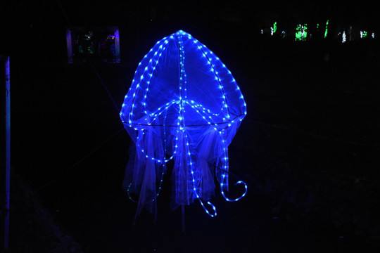 水母 灯光 造型