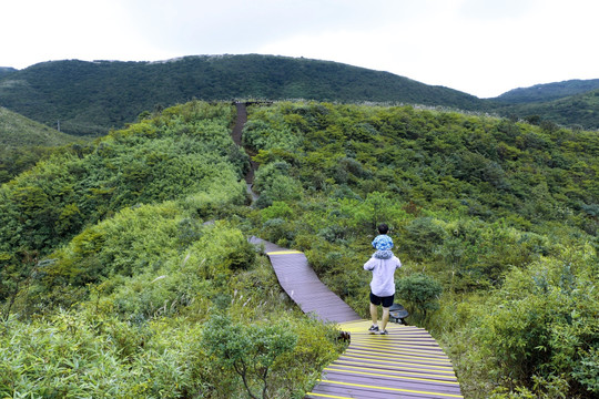 山路 登山