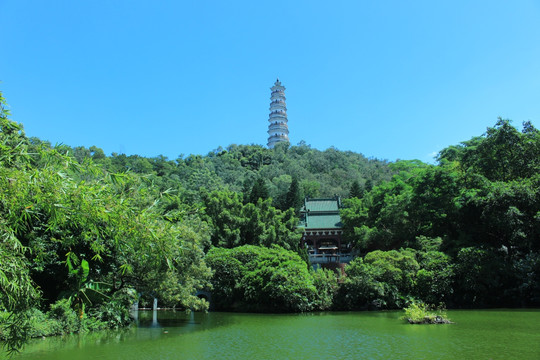公园旅游