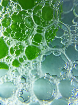 绿叶泡沫