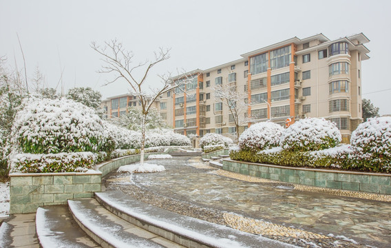 小区雪景