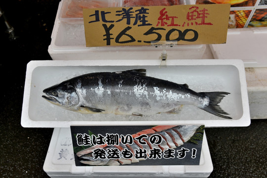 北洋产 红鲑鱼