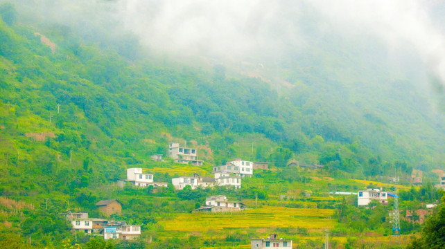 山村 稻田
