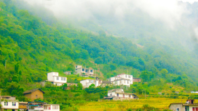 稻田 山村