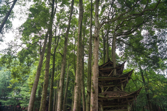 青城山半山亭