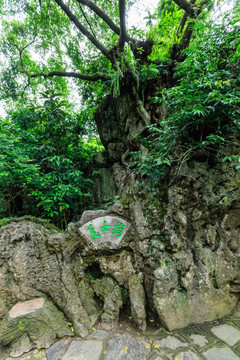 天星桥景区