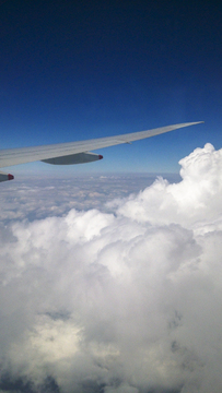 飞在云端