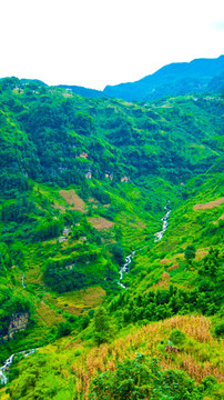 山地 山谷 山沟