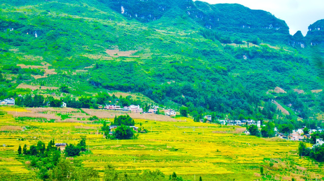 梯田 山村
