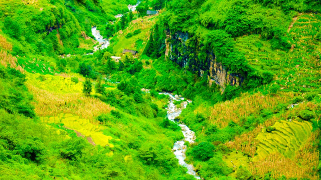 山涧 溪水 小溪