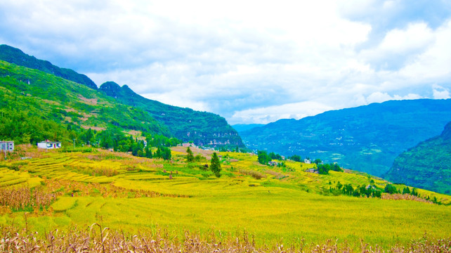 稻田 山岭 山村