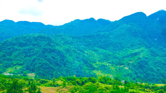 山岭 青山