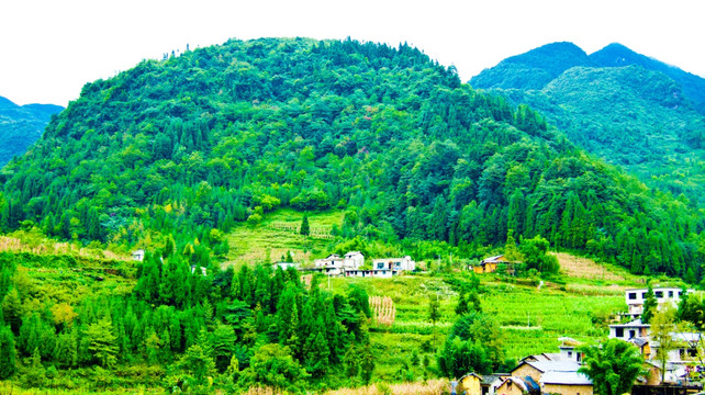 山丘 青山 大山